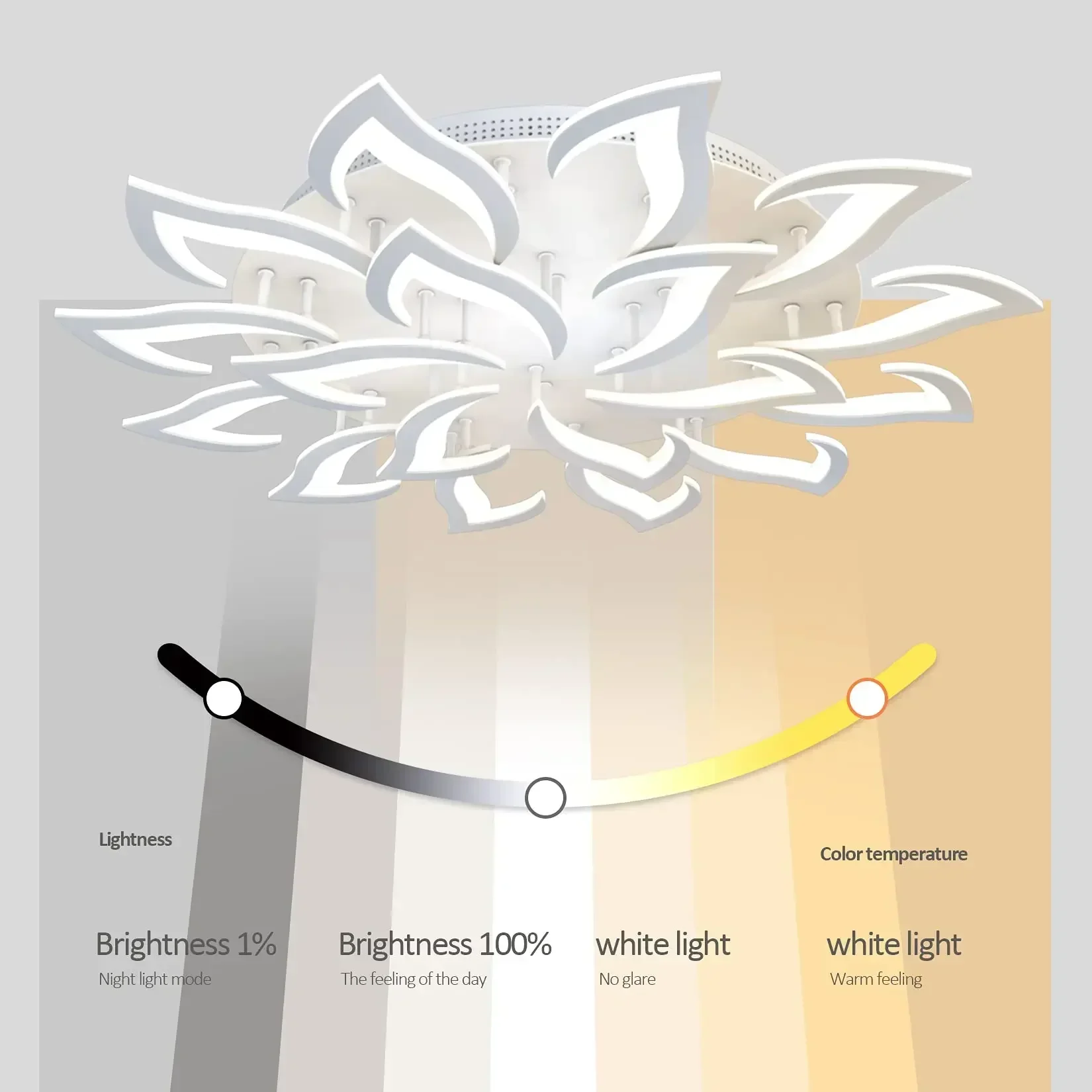 Designer LED Petal Chandelier  - Interior Design Living Room And Kitchen 评论和价格